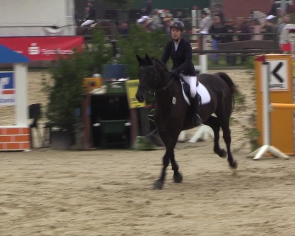 Reitturnier Albersloh 2022