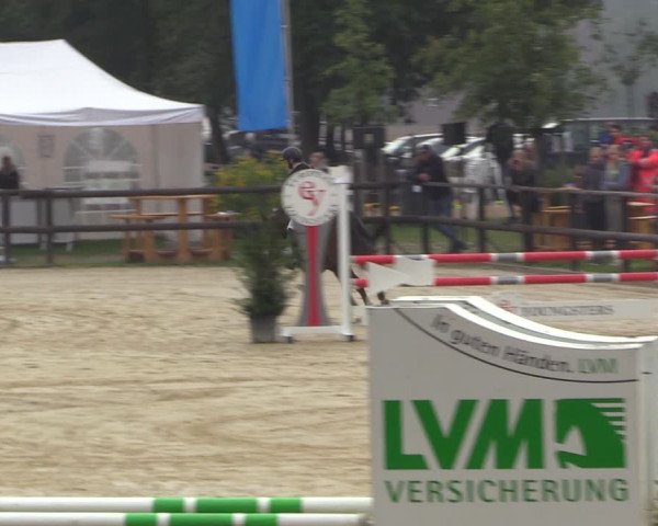 Reitturnier Albersloh 2022