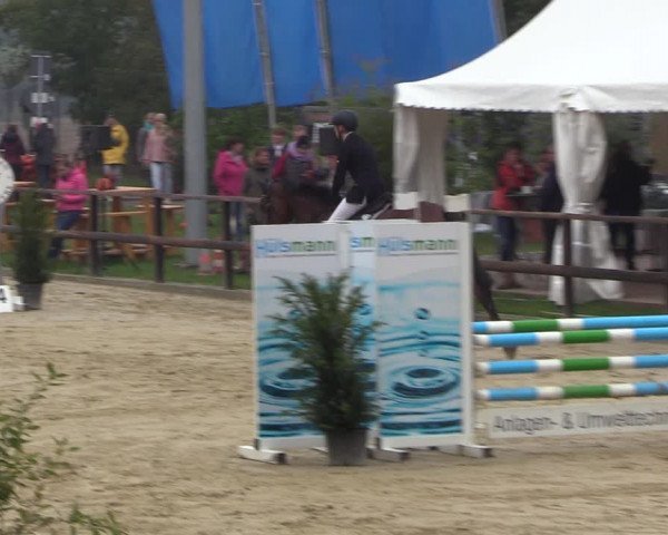 Reitturnier Albersloh 2022