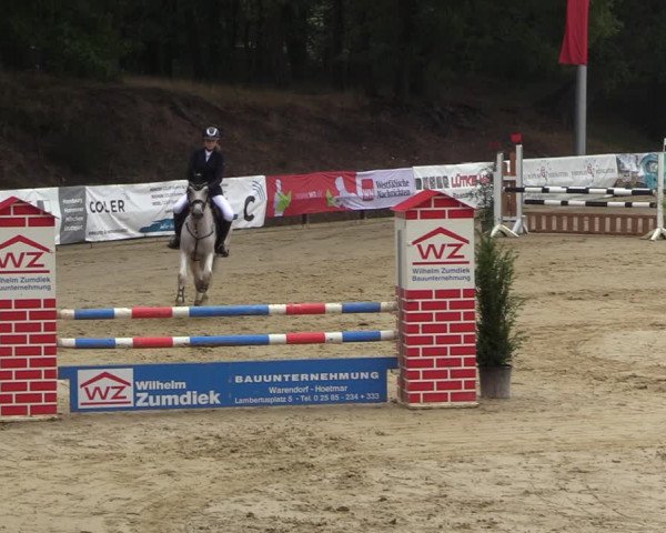 Reitturnier Albersloh 2022