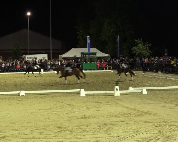 Reitturnier Albersloh 2022