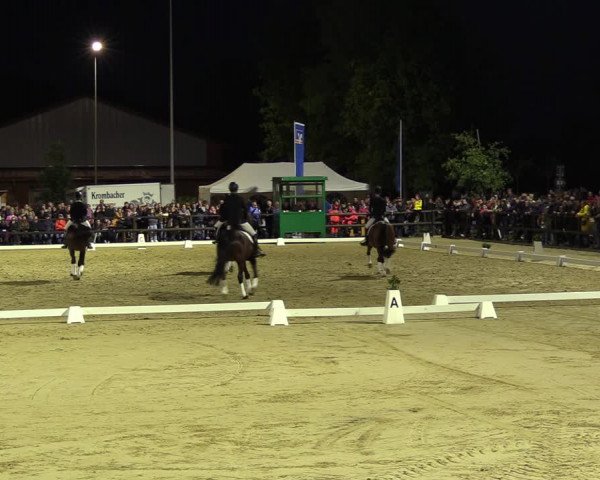Reitturnier Albersloh 2022