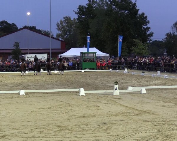 Reitturnier Albersloh 2022