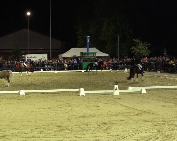 Reitturnier Albersloh 2022