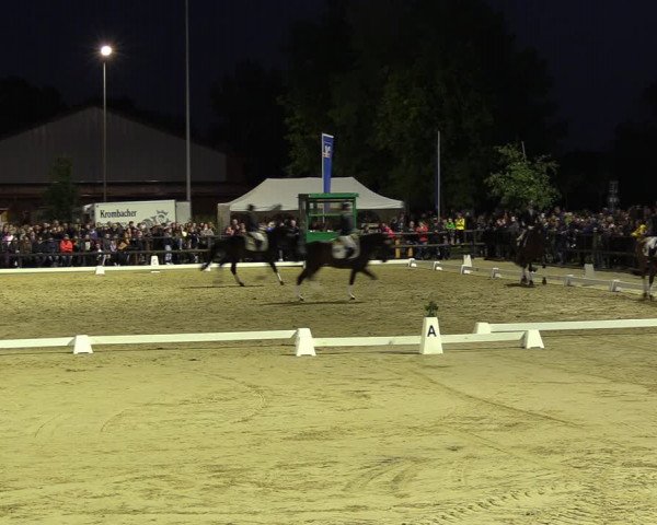 Reitturnier Albersloh 2022