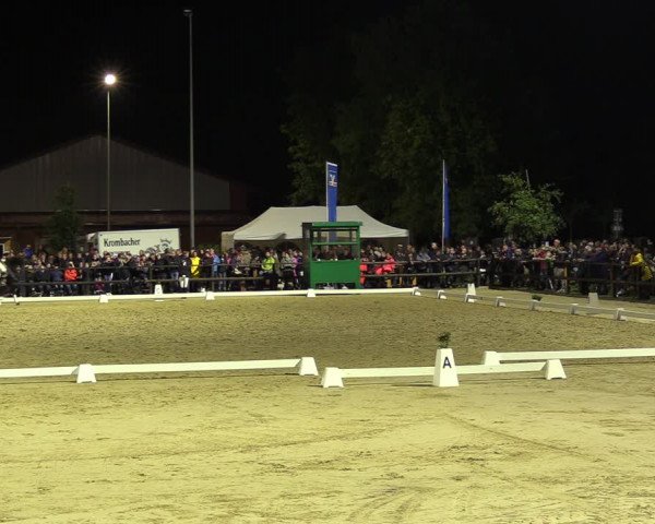 Reitturnier Albersloh 2022