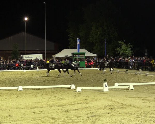 Reitturnier Albersloh 2022