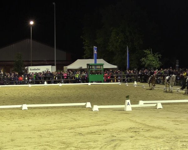 Reitturnier Albersloh 2022
