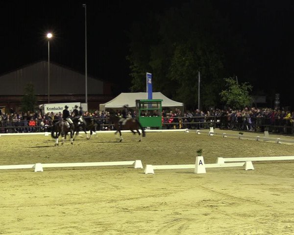 Reitturnier Albersloh 2022