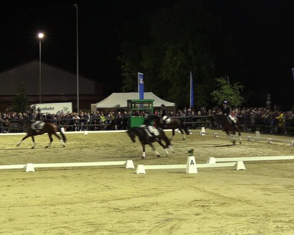 Reitturnier Albersloh 2022
