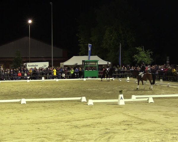 Reitturnier Albersloh 2022
