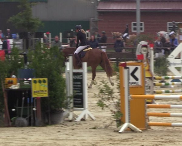 Reitturnier Albersloh 2022