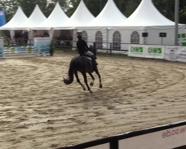 Reitturnier Albersloh 2022