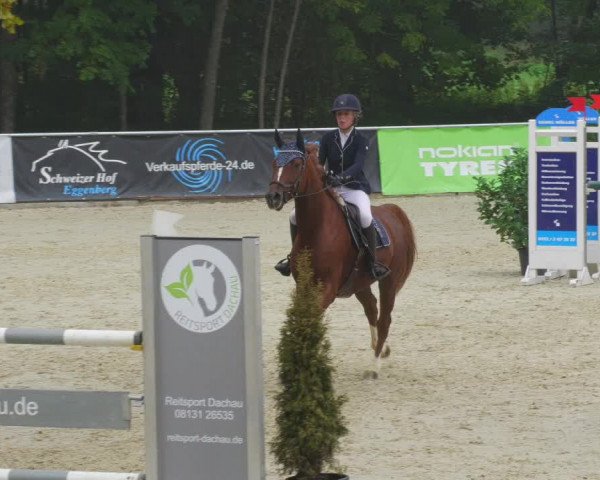 Reitturnier Karlsfeld/Obb. 2022