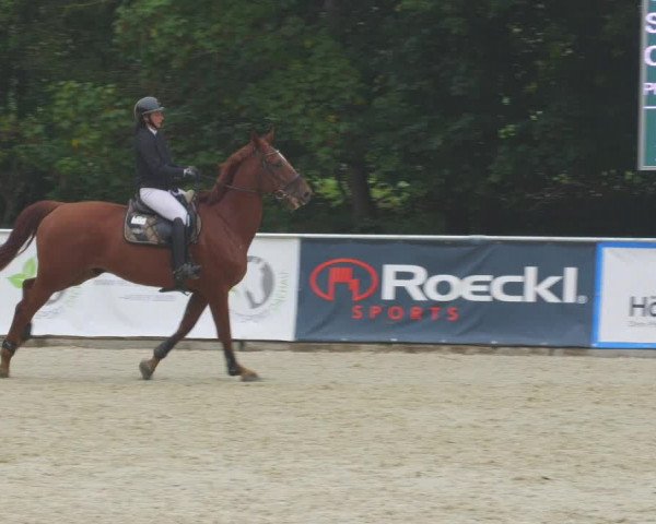 Reitturnier Karlsfeld/Obb. 2022