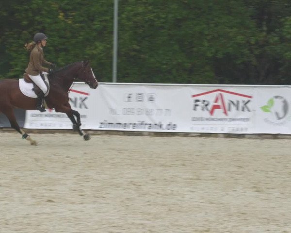 Reitturnier Karlsfeld/Obb. 2022