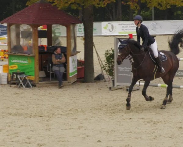 Reitturnier Karlsfeld/Obb. 2022