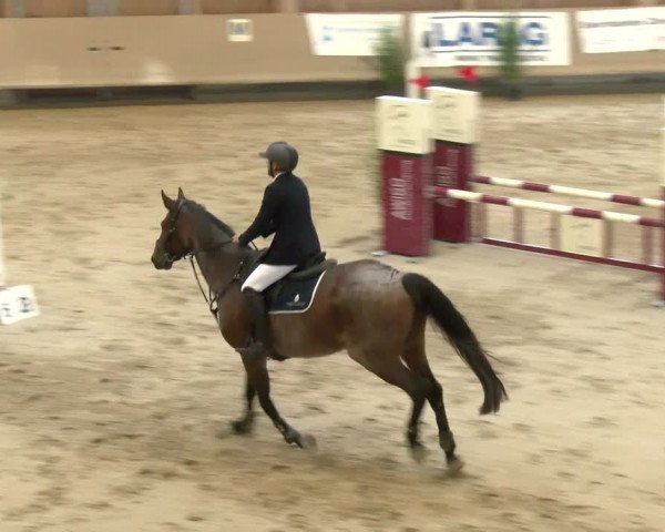 Reitturnier Winterthur 2022