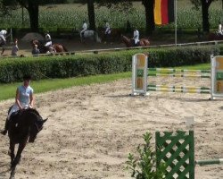 jumper Camlo (Holsteiner, 2005, from Corrado I)
