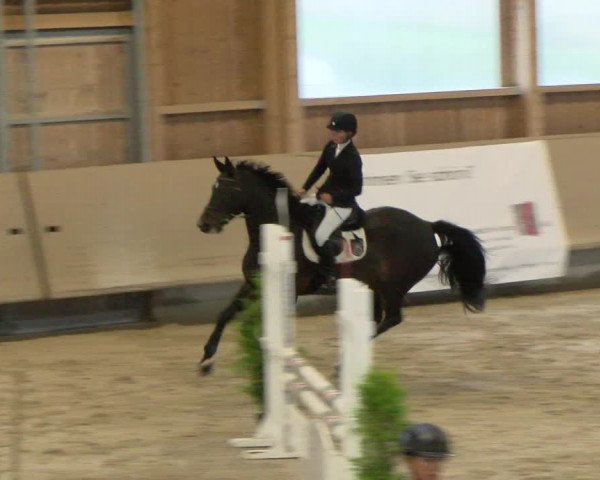Reitturnier Winterthur 2022