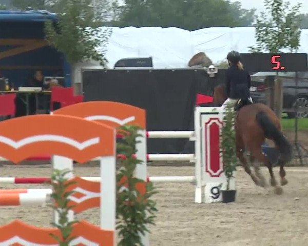 Reitturnier Poxdorf/Ofr 2022