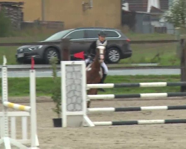 Reitturnier Poxdorf/Ofr 2022