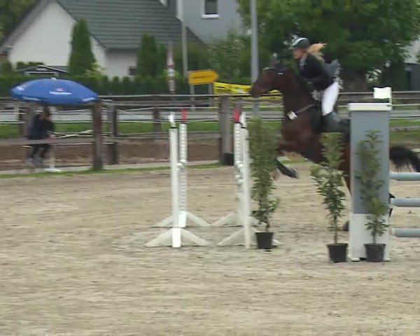 Reitturnier Poxdorf/Ofr 2022