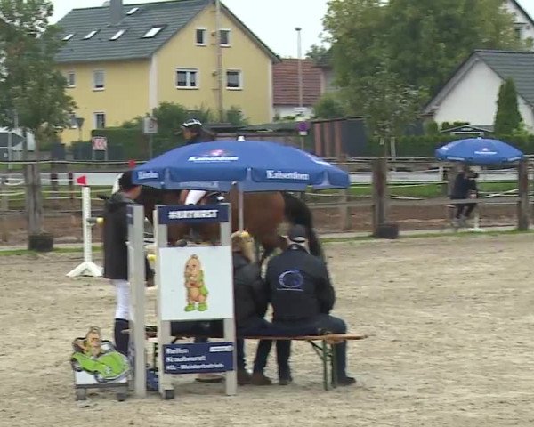 Reitturnier Poxdorf/Ofr 2022