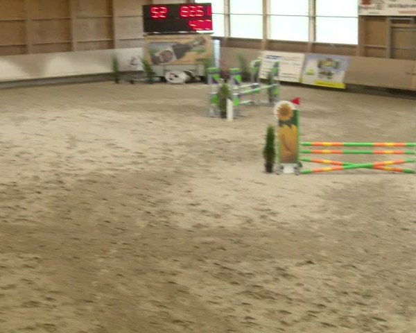 Reitturnier Winterthur 2022