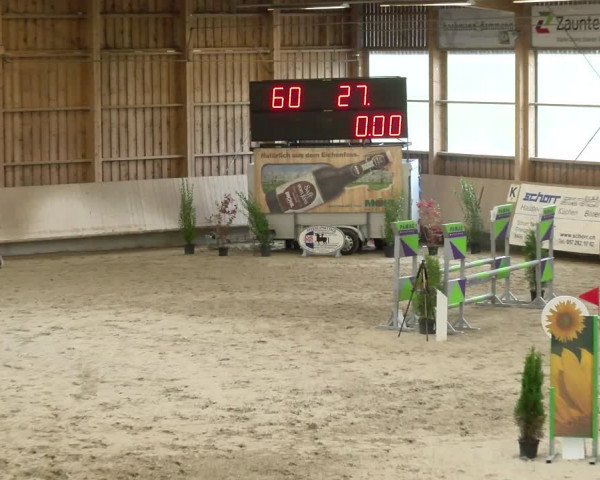 Reitturnier Winterthur 2022