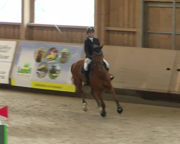 Reitturnier Winterthur 2022