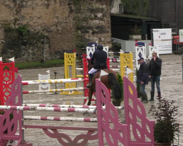 Reitturnier Wachtberg-Adendorf 2022