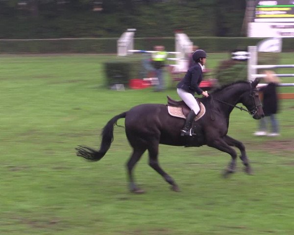 Reitturnier Westeregeln 2021