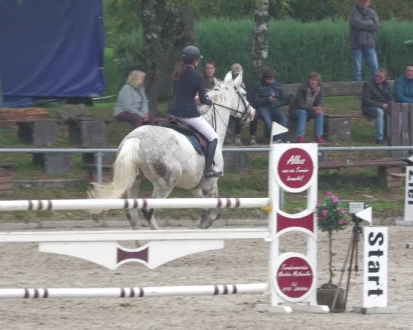Reitturnier Neunkirchen-City 2022