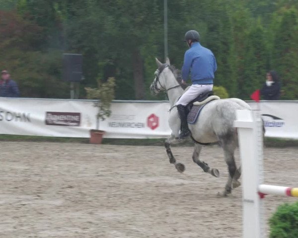 Reitturnier Neunkirchen-City 2022
