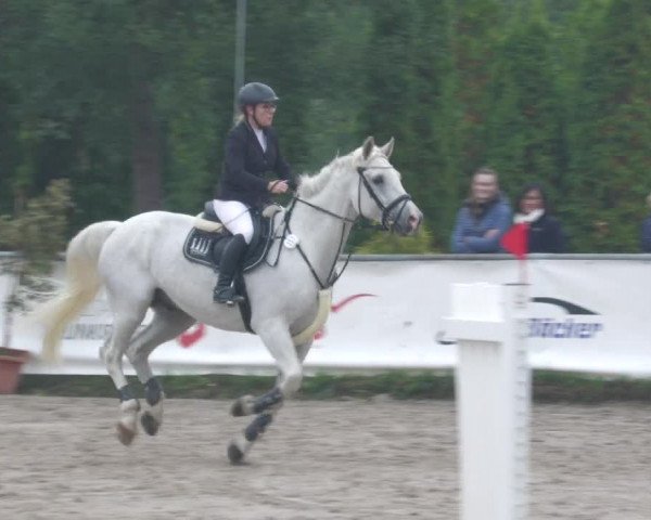 Reitturnier Neunkirchen-City 2022