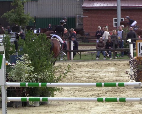 Reitturnier Albersloh 2022