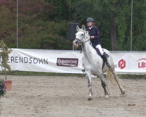 Reitturnier Neunkirchen-City 2022