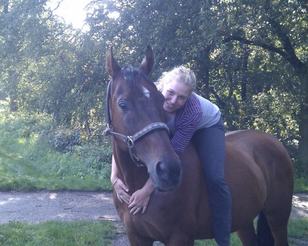 horse Giovanni (Trakehner,  , from Suchard)