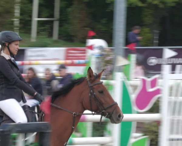 Reitturnier Neunkirchen-City 2022