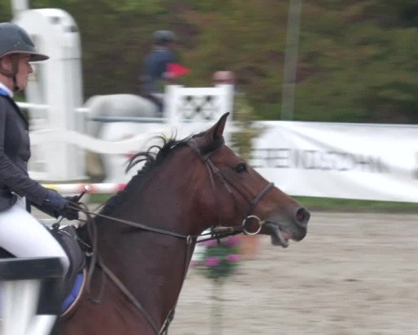 Reitturnier Neunkirchen-City 2022