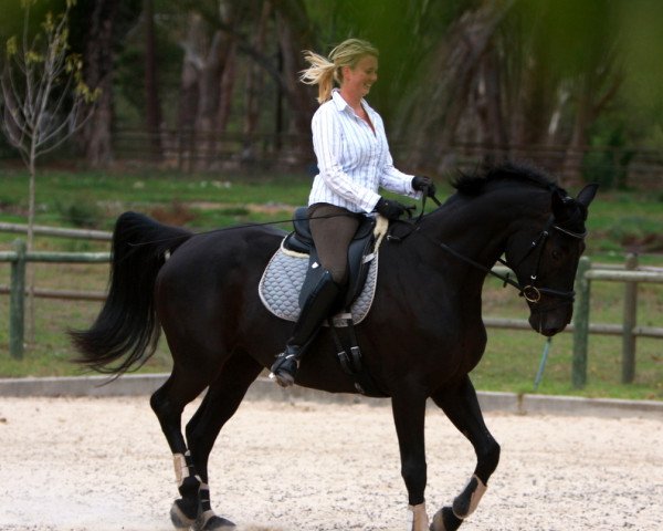 Zuchtstute Neuland's Hepburn (Hannoveraner, 2005, von Rubinero 2)