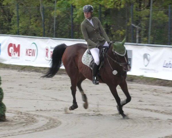 Reitturnier Neunkirchen-City 2022