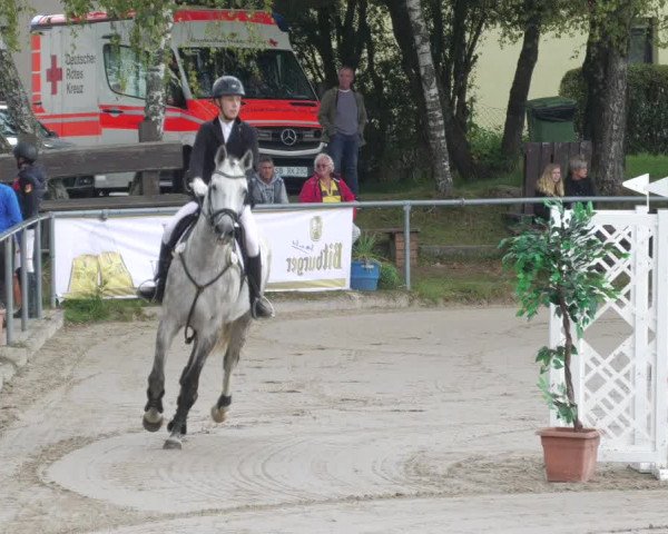 Reitturnier Neunkirchen-City 2022
