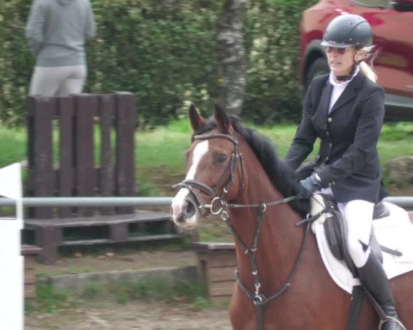 Reitturnier Neunkirchen-City 2022