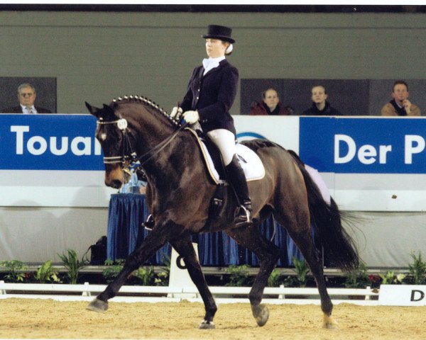 Dressurpferd Lordano S (Westfale, 1995, von Landadel) Dressurpferd Lordano S (Westfale, 1995, von Landadel)