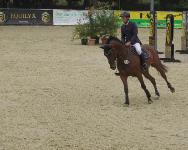 Reitturnier Karlsfeld/Obb. 2022