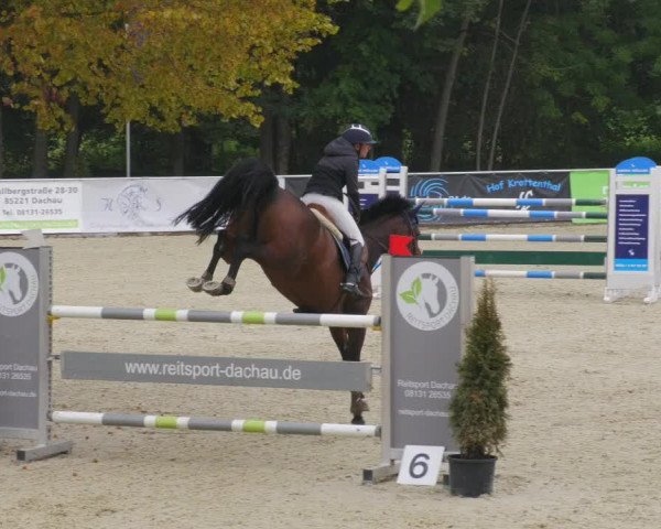 Reitturnier Karlsfeld/Obb. 2022