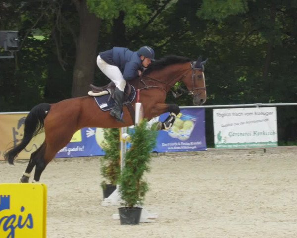 Reitturnier Karlsfeld/Obb. 2022