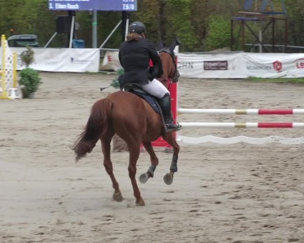 Reitturnier Neunkirchen-City 2022